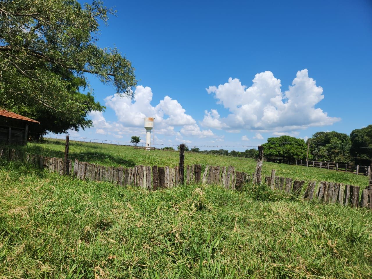 Fazenda à venda com 4 quartos, 800m² - Foto 4