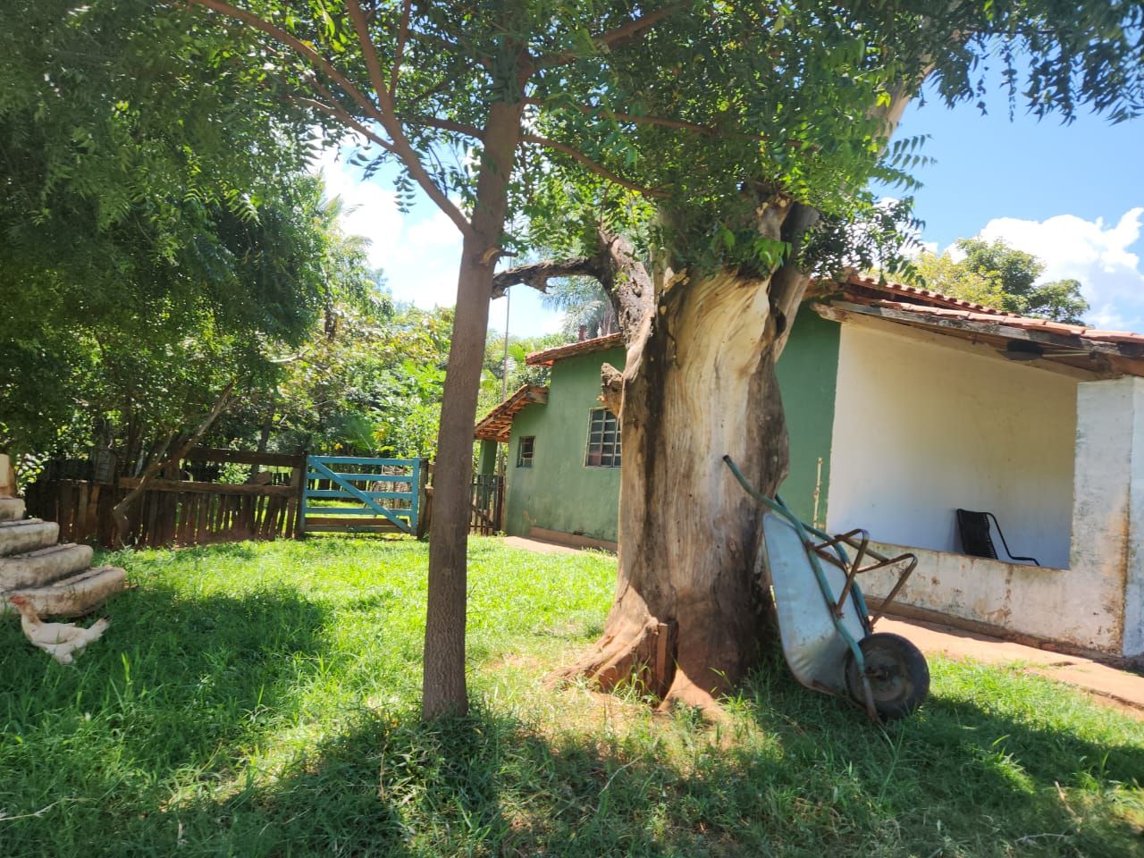 Fazenda à venda com 4 quartos, 800m² - Foto 6