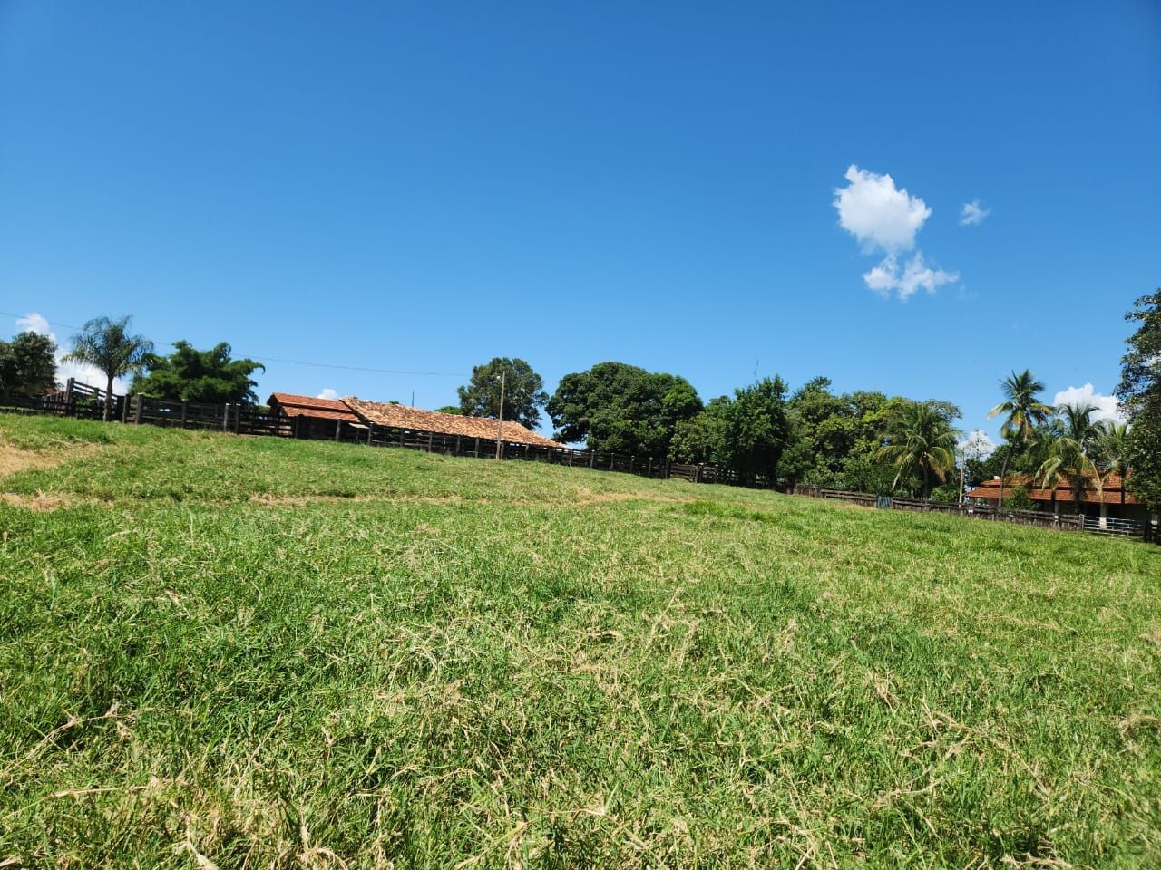 Fazenda à venda com 4 quartos, 800m² - Foto 8