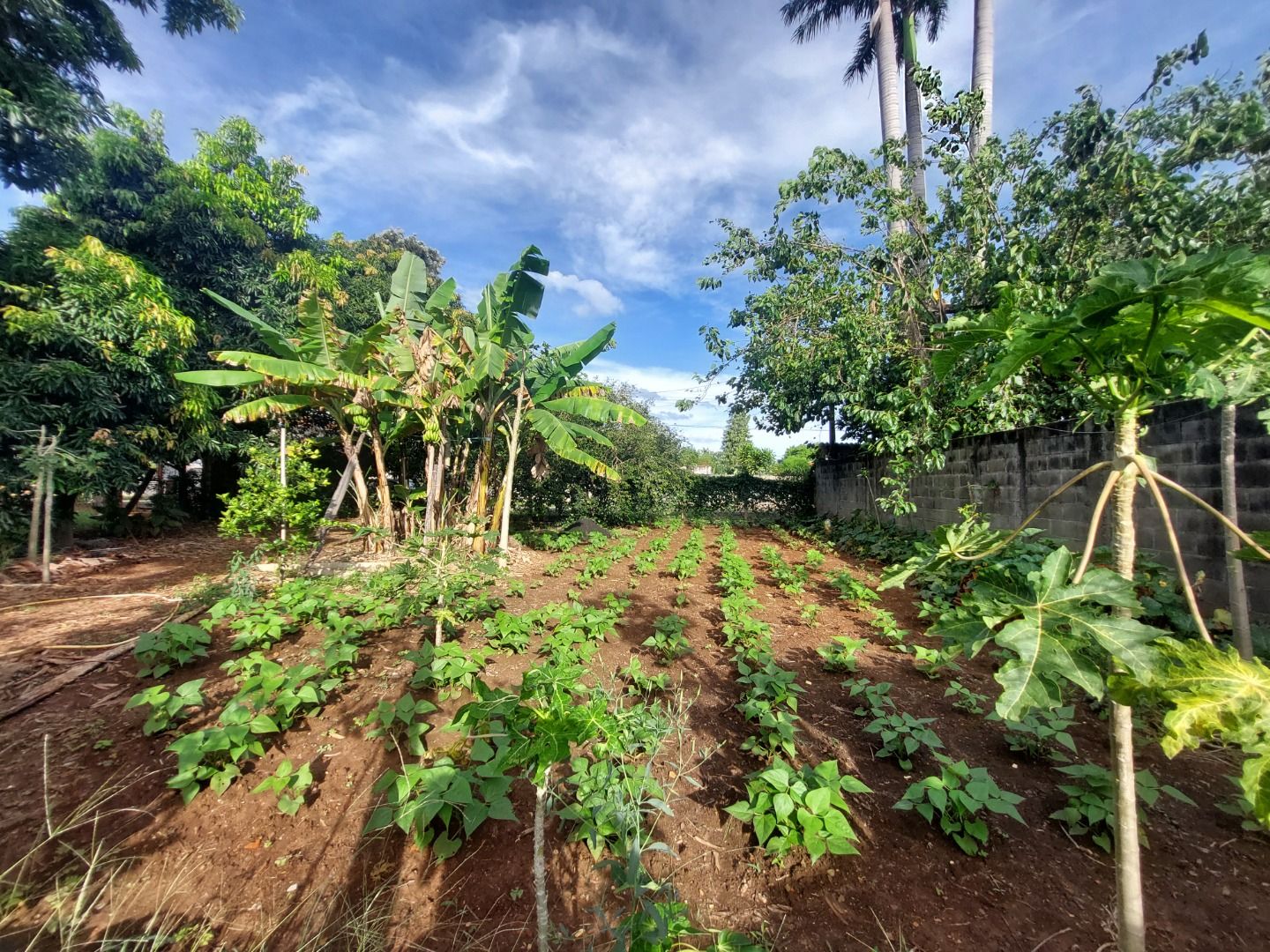 Chácara à venda com 2 quartos, 110m² - Foto 8