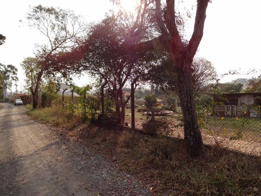 Terreno à venda - Foto 2