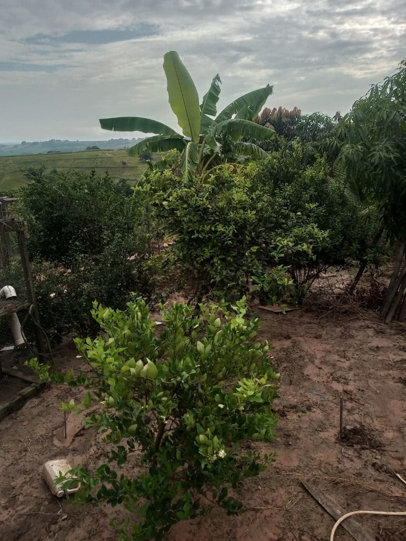 Chácara à venda com 2 quartos, 180m² - Foto 15