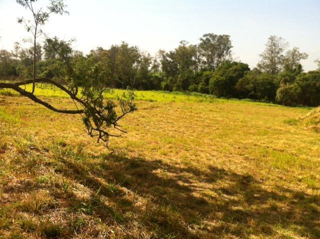 Terreno à venda - Foto 4