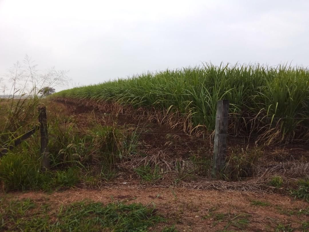 Terreno à venda - Foto 1