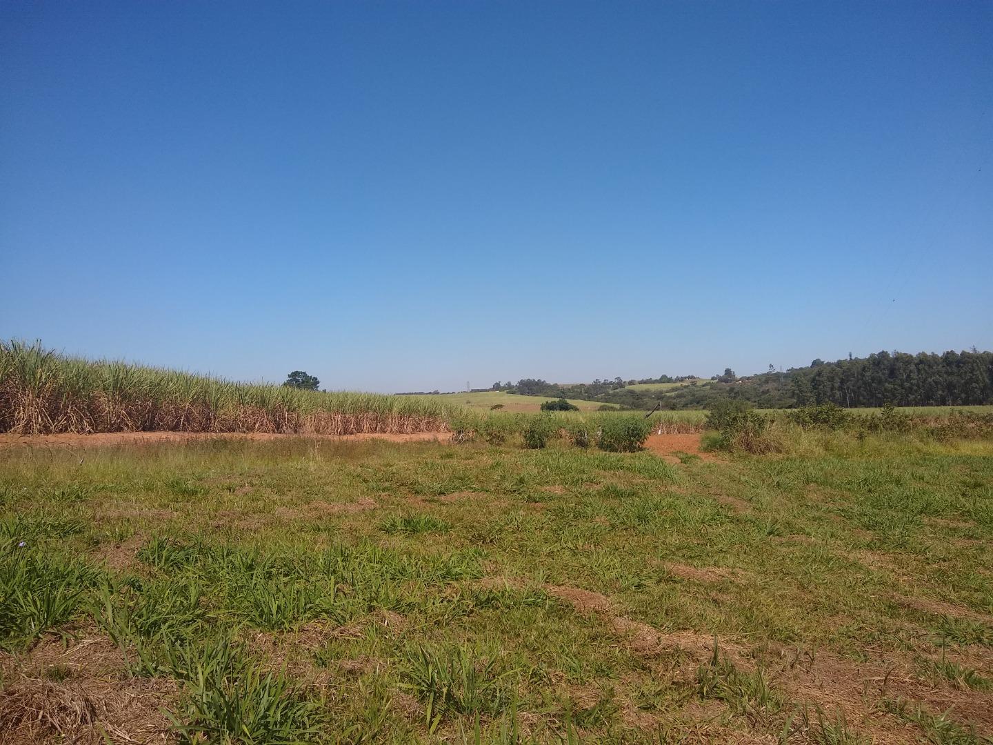 Terreno à venda e aluguel - Foto 11