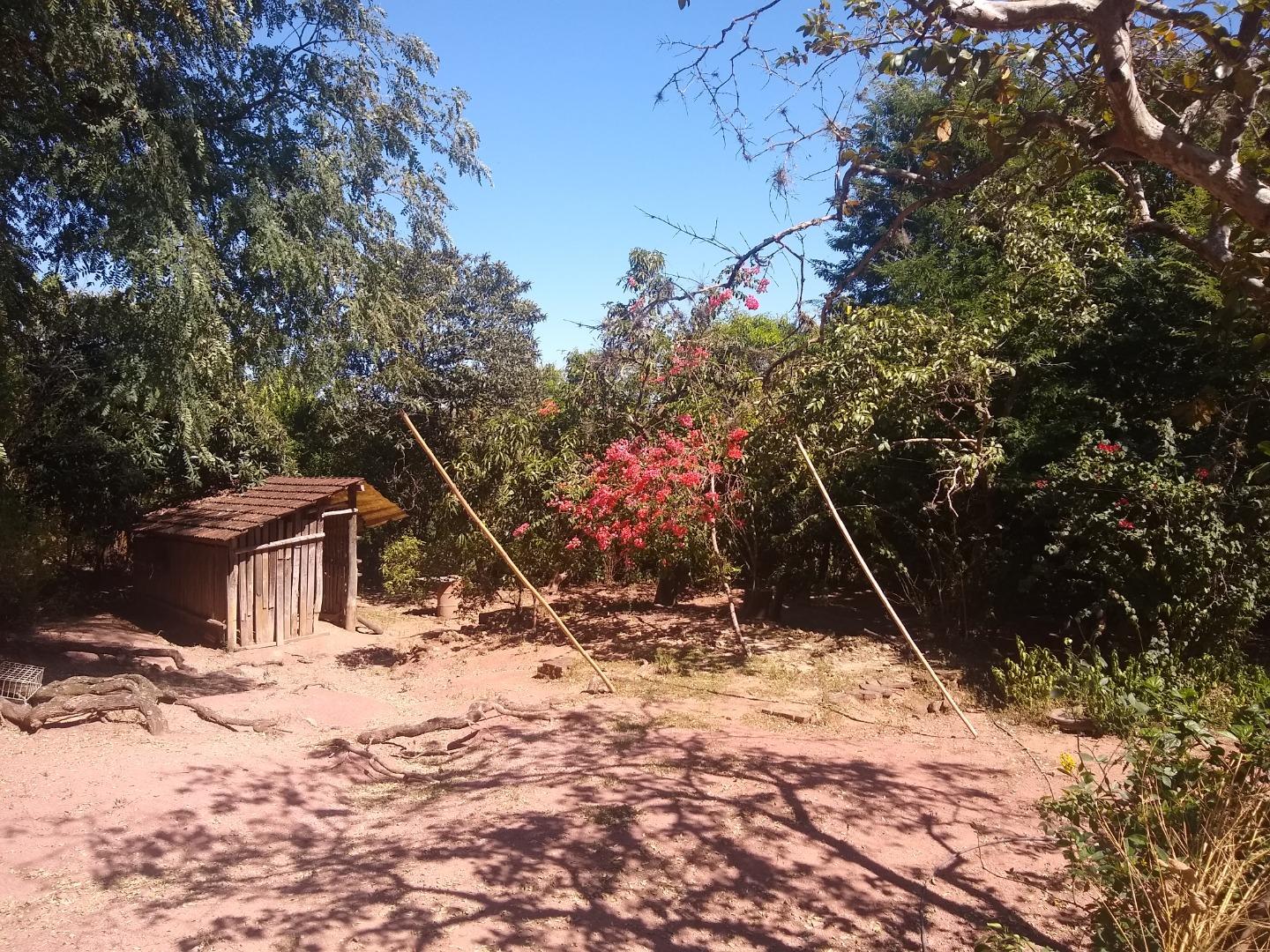 Terreno à venda e aluguel - Foto 3