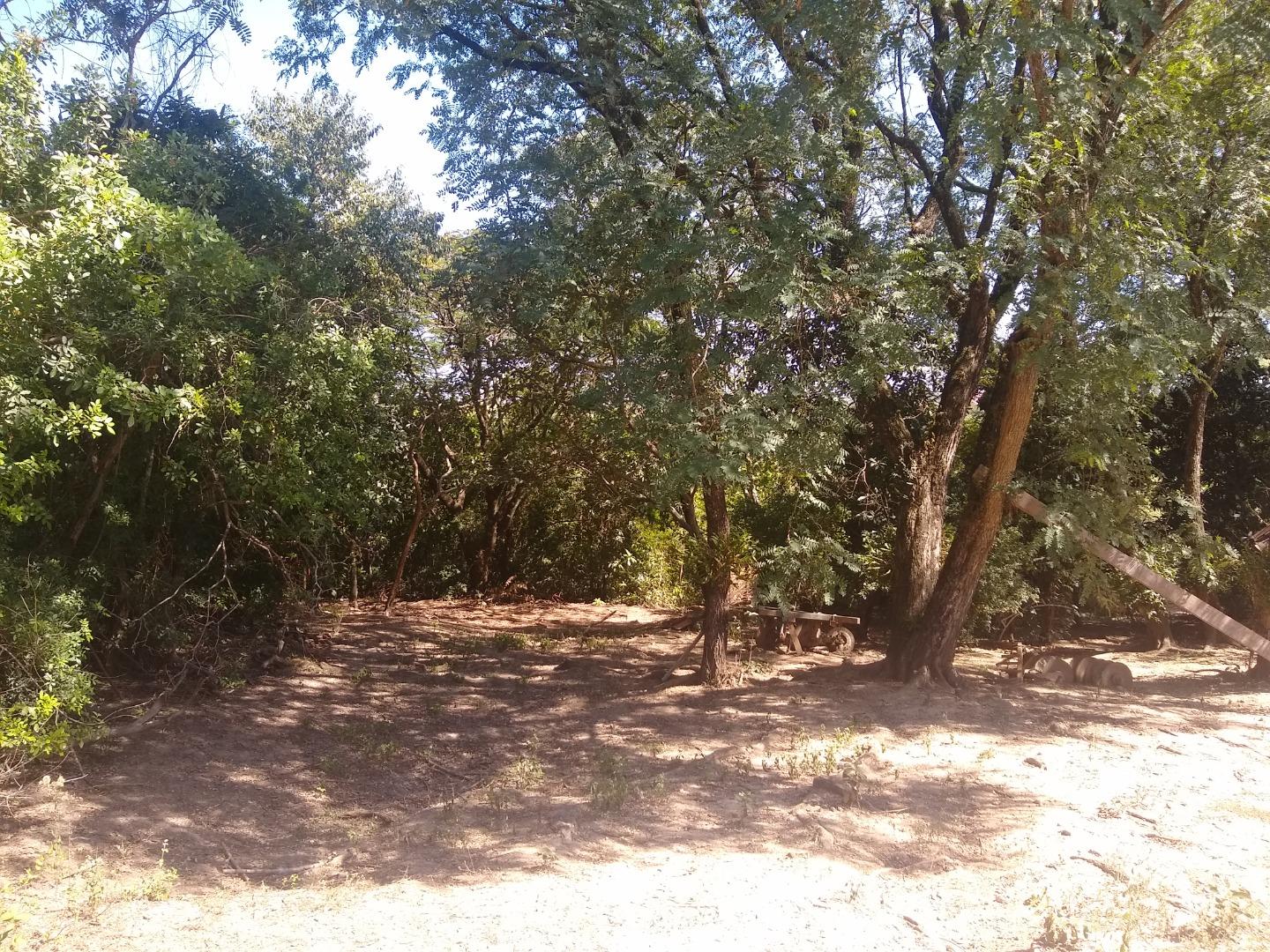 Terreno à venda e aluguel - Foto 5