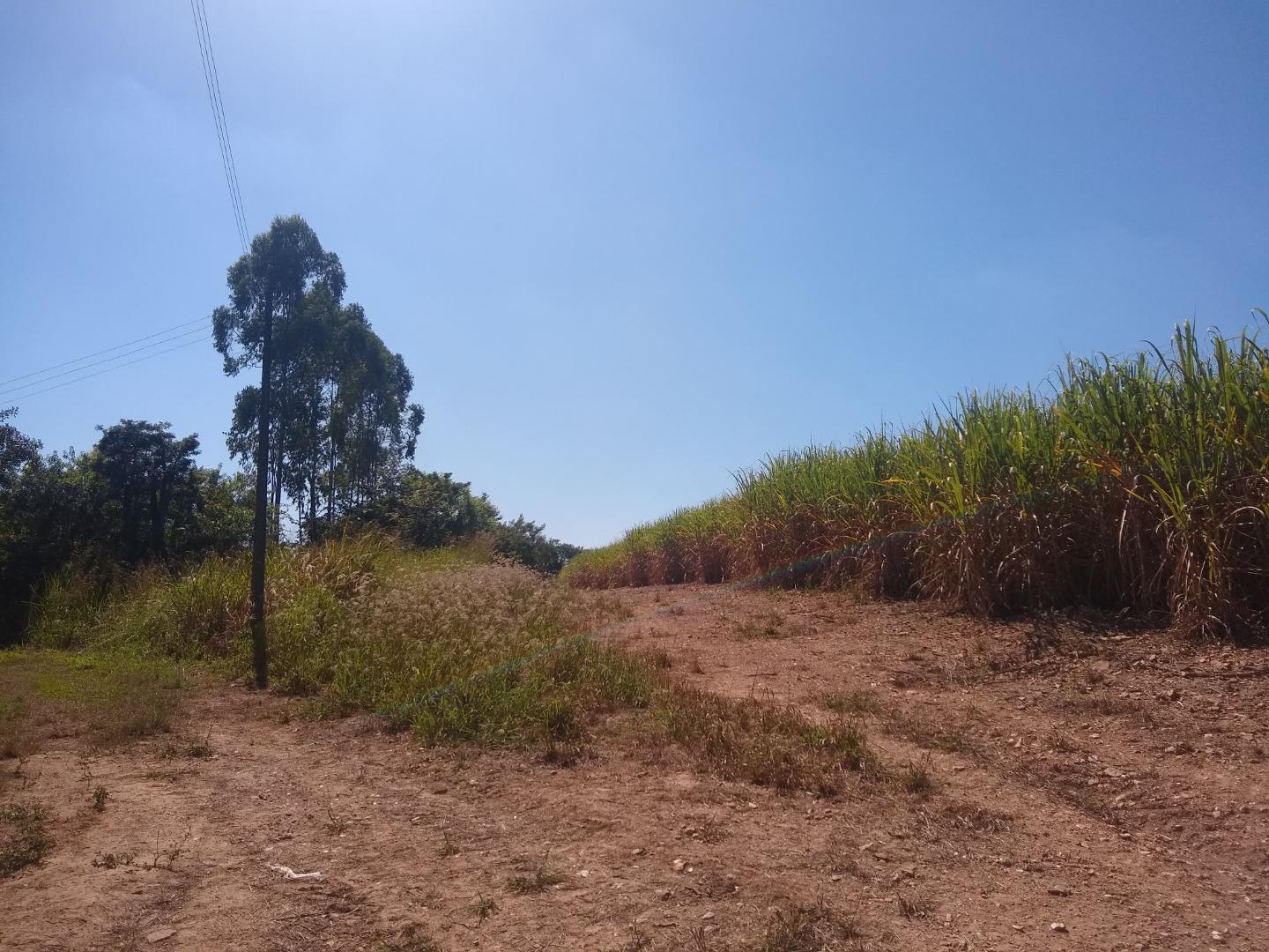 Terreno à venda e aluguel - Foto 7