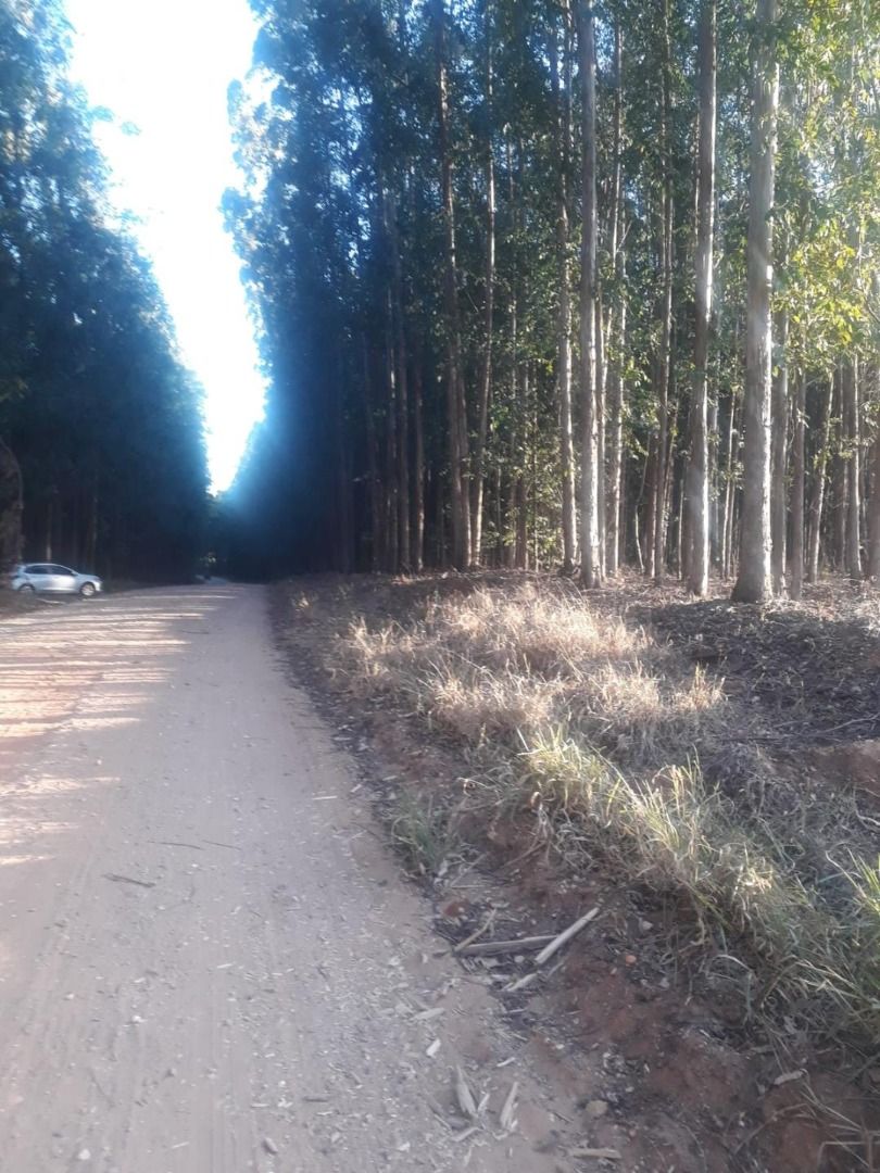 Terreno à venda - Foto 4