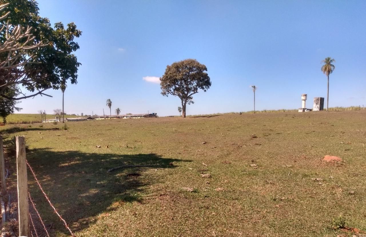 Fazenda à venda com 3 quartos, 600m² - Foto 10