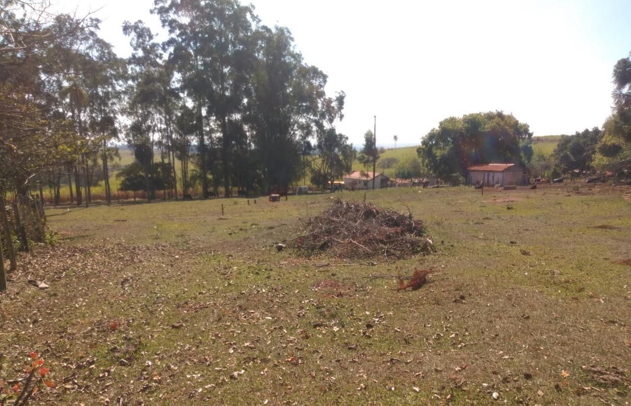 Fazenda à venda com 3 quartos, 600m² - Foto 11