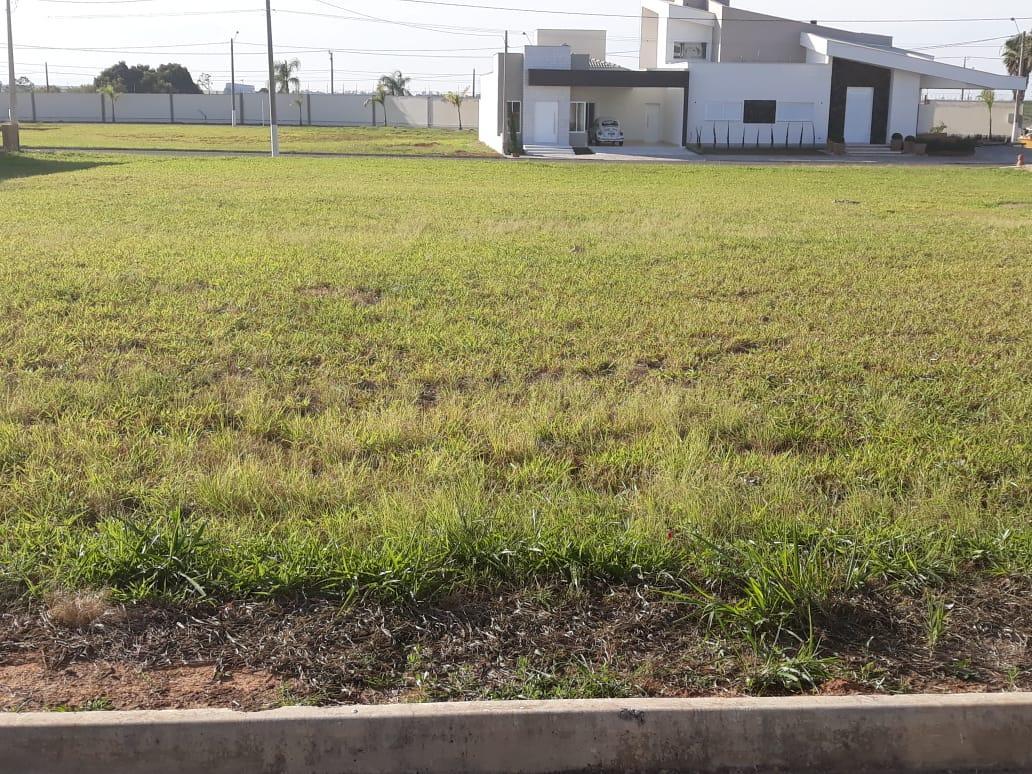 Terreno à venda, 250 - Foto 1