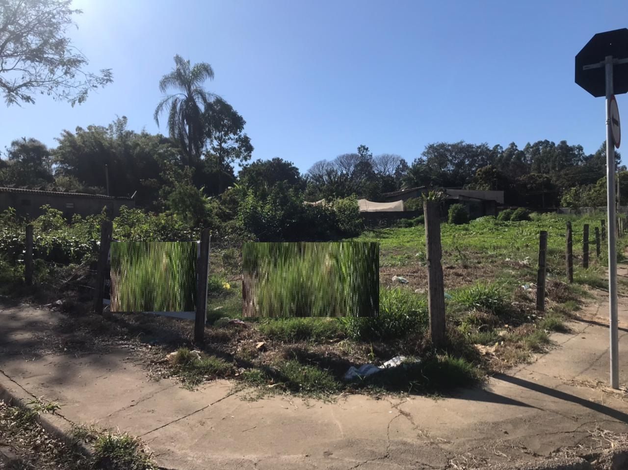 Terreno para alugar, 2200 - Foto 1