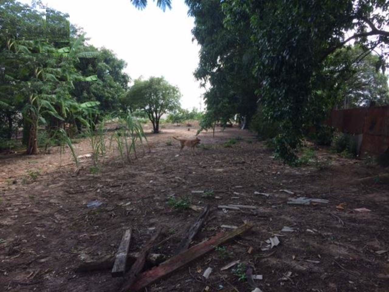 Terreno à venda, 2300 - Foto 1