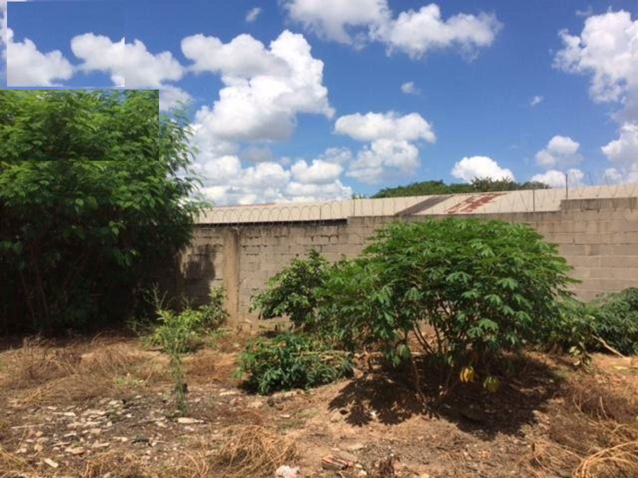 Terreno à venda, 2300 - Foto 3