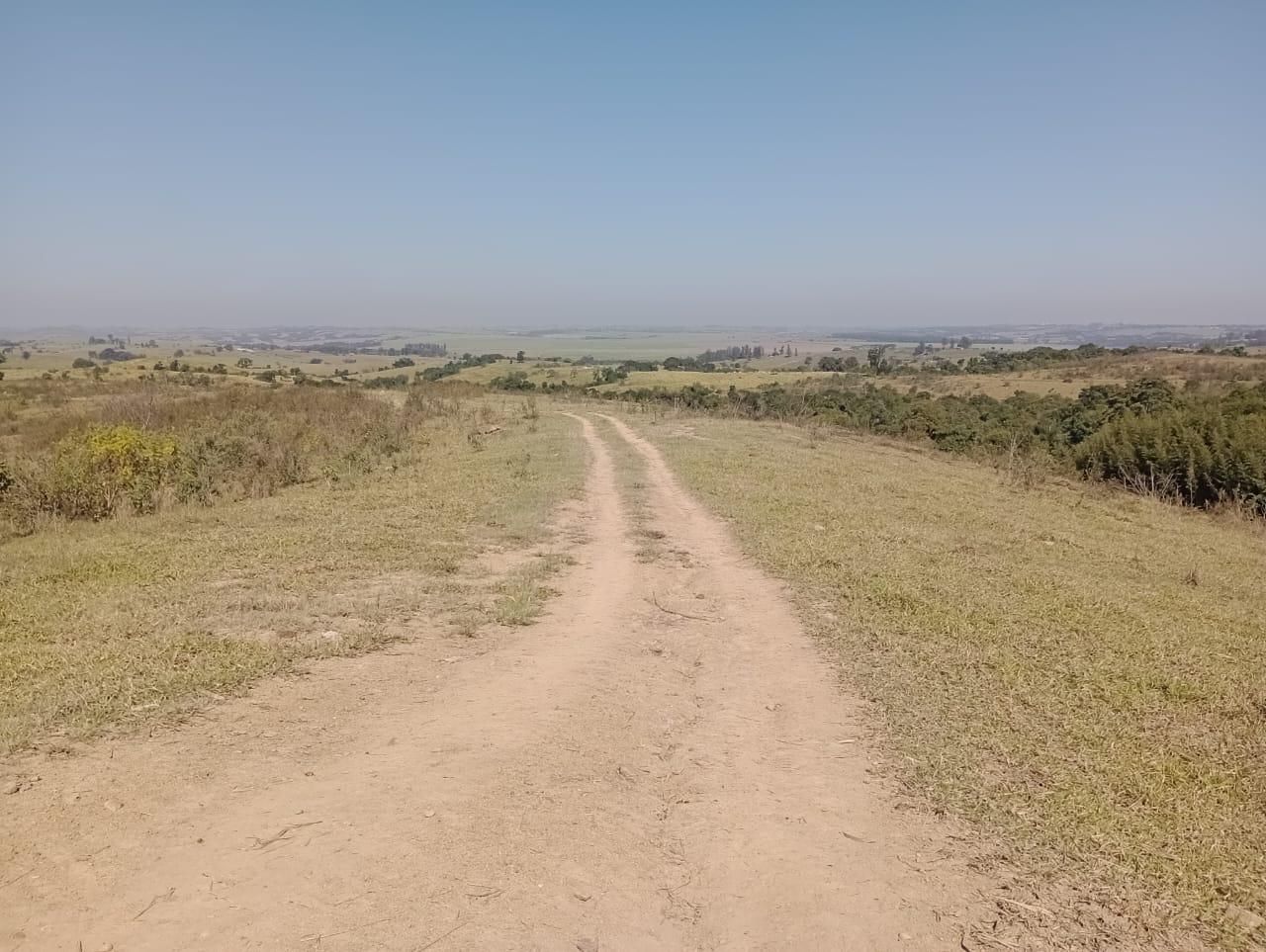 Fazenda à venda, 98 - Foto 10