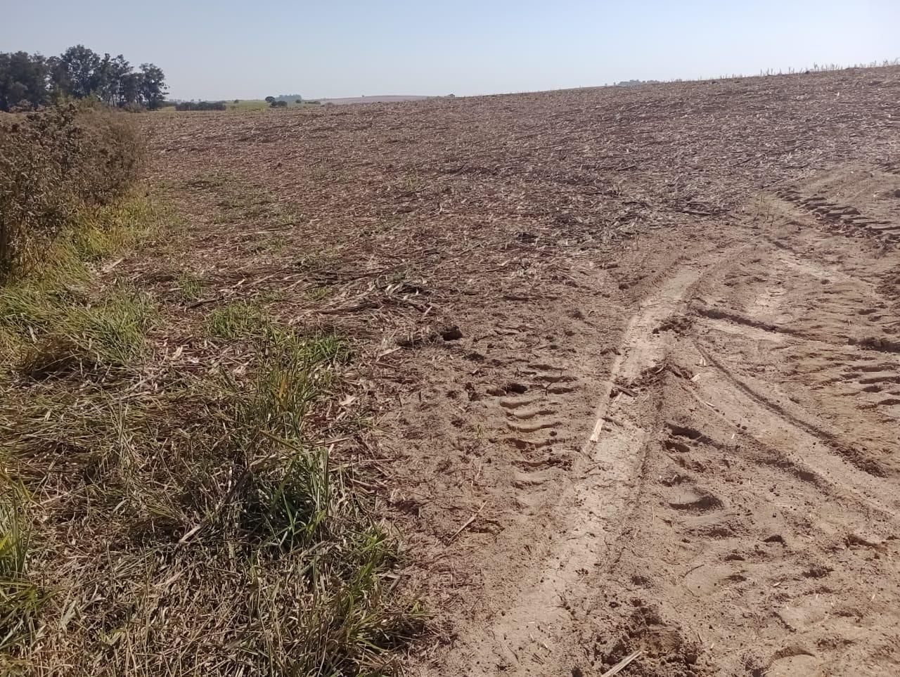 Fazenda à venda, 98 - Foto 11