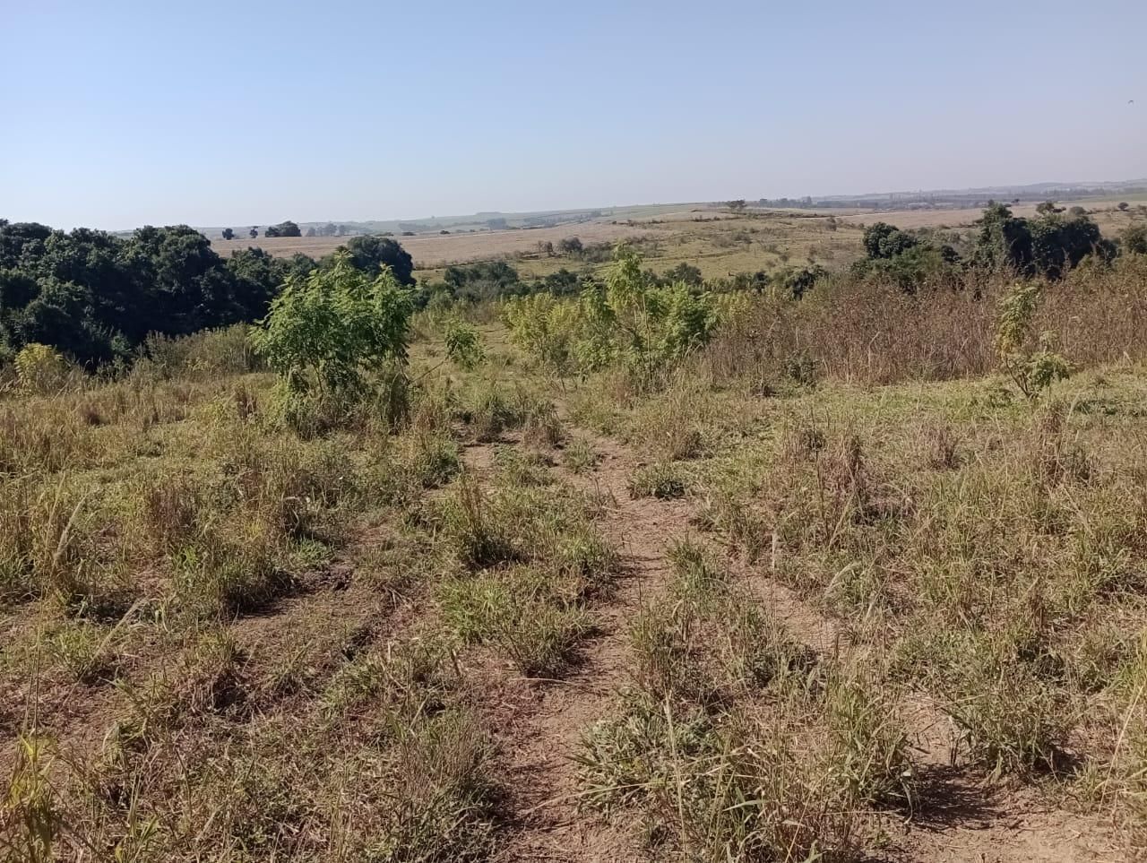 Fazenda à venda, 98 - Foto 18