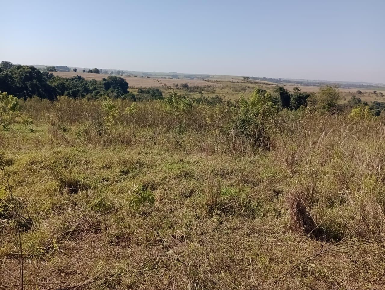 Fazenda à venda, 98 - Foto 21