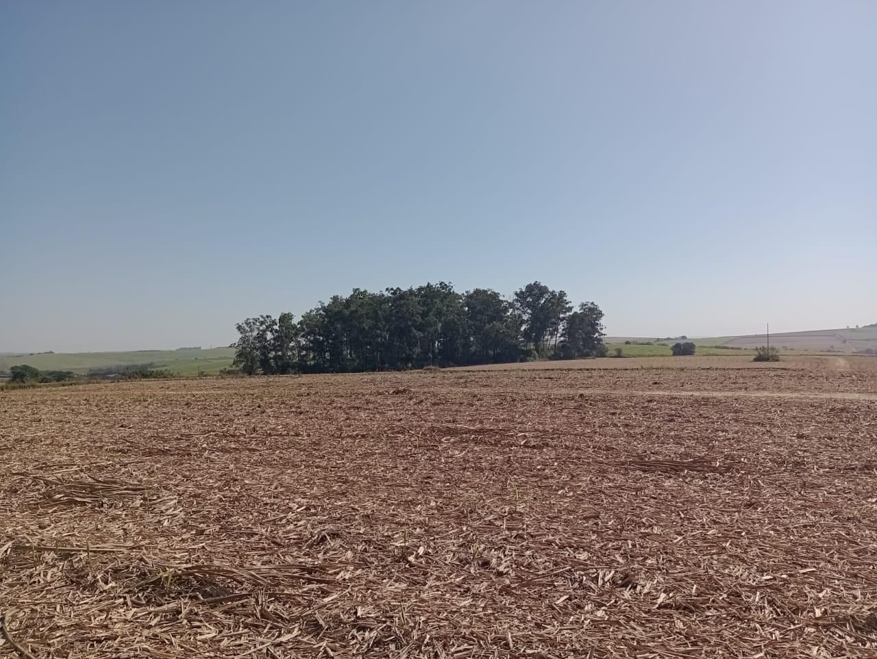 Fazenda à venda, 98 - Foto 26