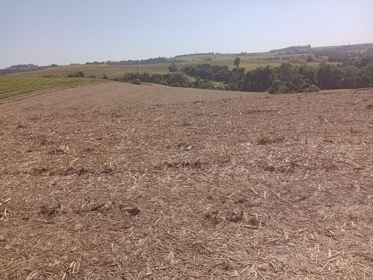 Fazenda à venda, 98 - Foto 29