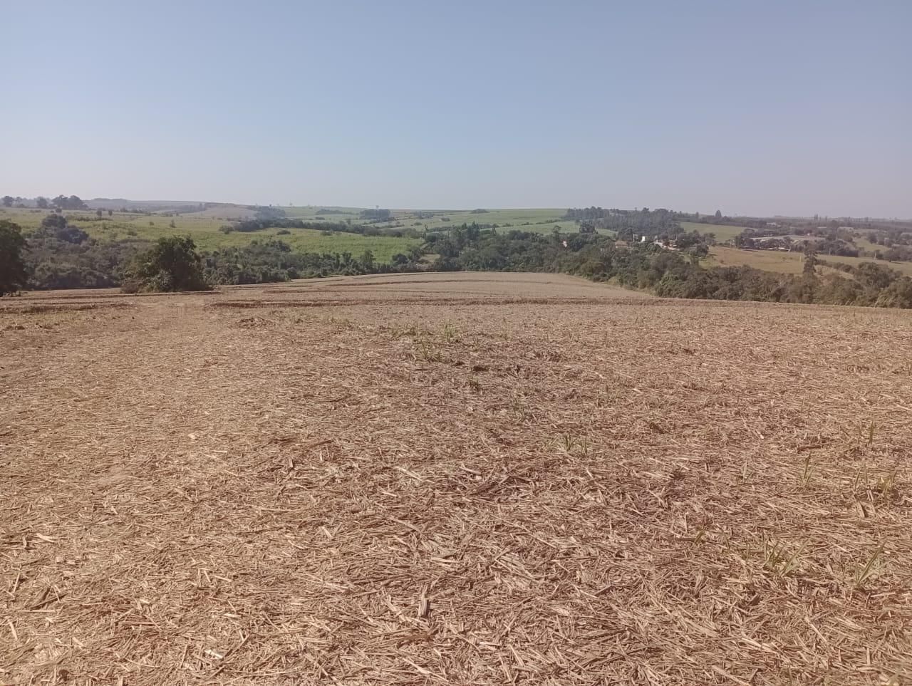 Fazenda à venda, 98 - Foto 4