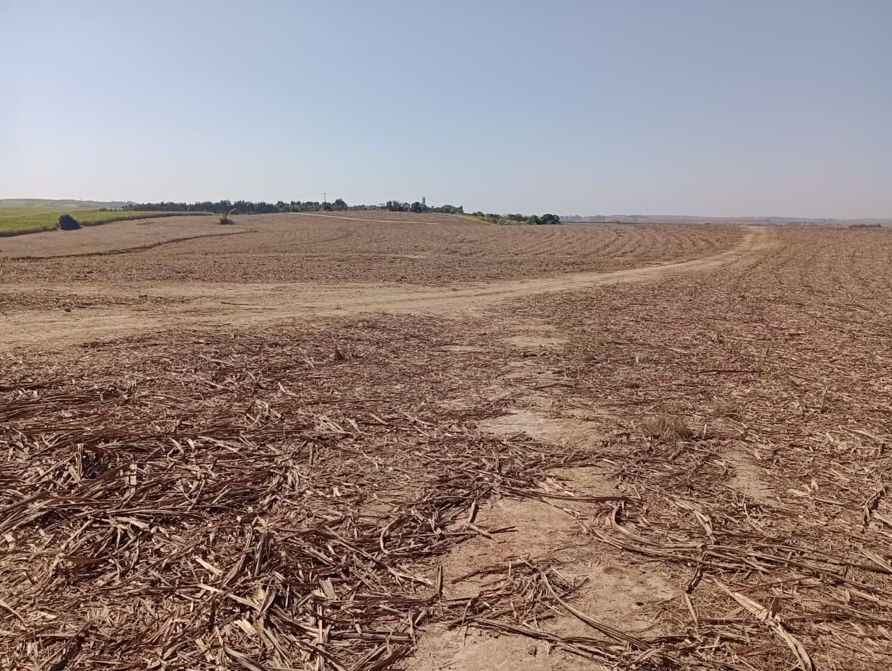 Fazenda à venda, 98 - Foto 6