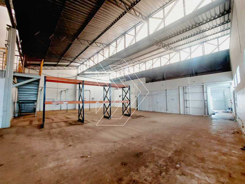 Depósito-Galpão, 750 m² - Foto 3