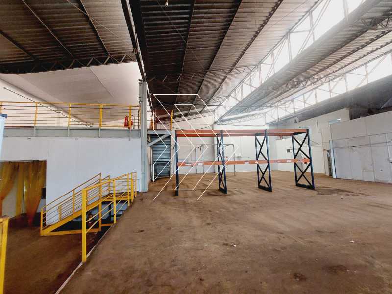 Depósito-Galpão, 750 m² - Foto 5