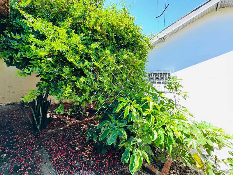 Casa, 3 quartos, 130 m² - Foto 17