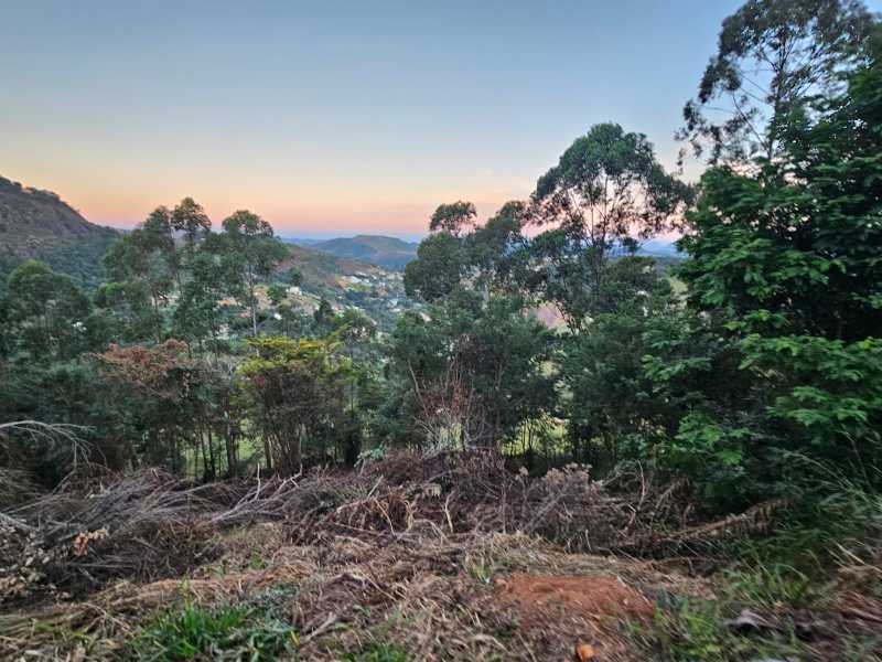 Terreno à venda, 1100 - Foto 4