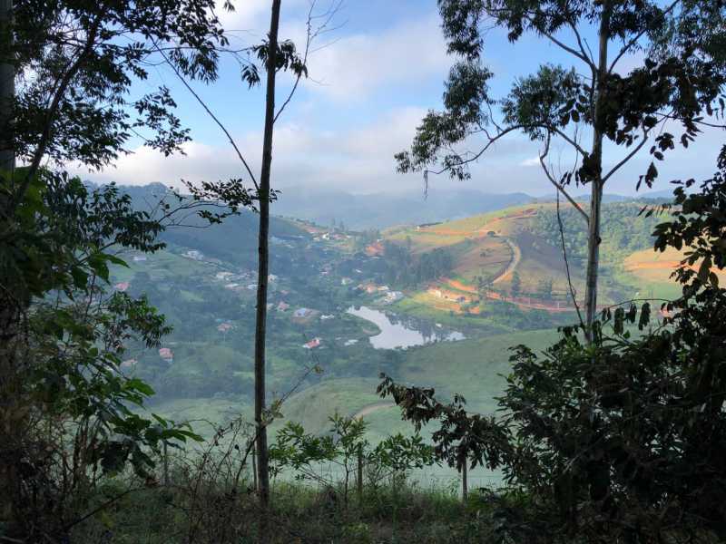 Terreno à venda, 2500 - Foto 3