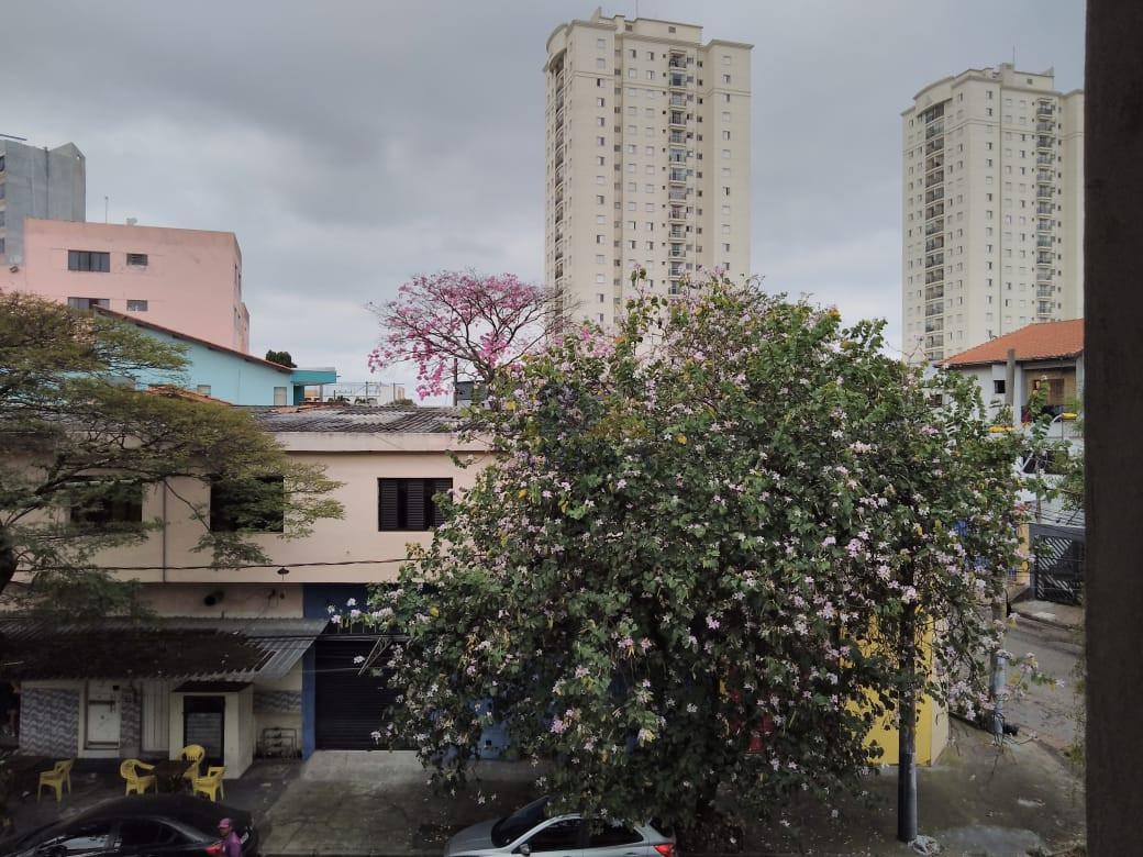 Apartamento à venda com 2 quartos - Foto 9