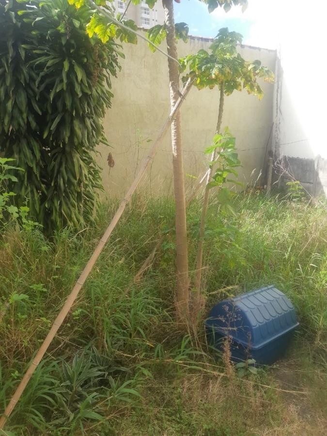 Terreno, 248 m² - Foto 9