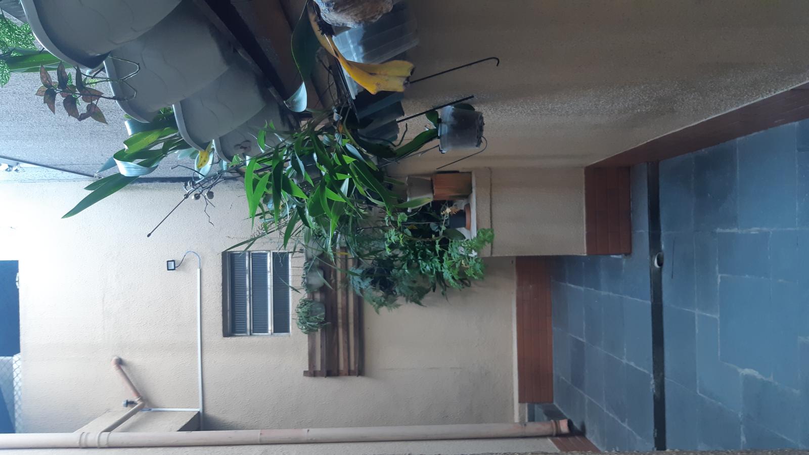 Casa à venda com 3 quartos - Foto 9