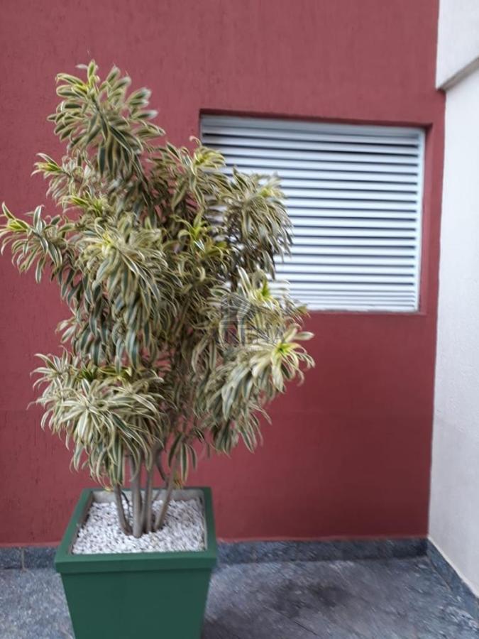 Apartamento, 4 quartos - Foto 18