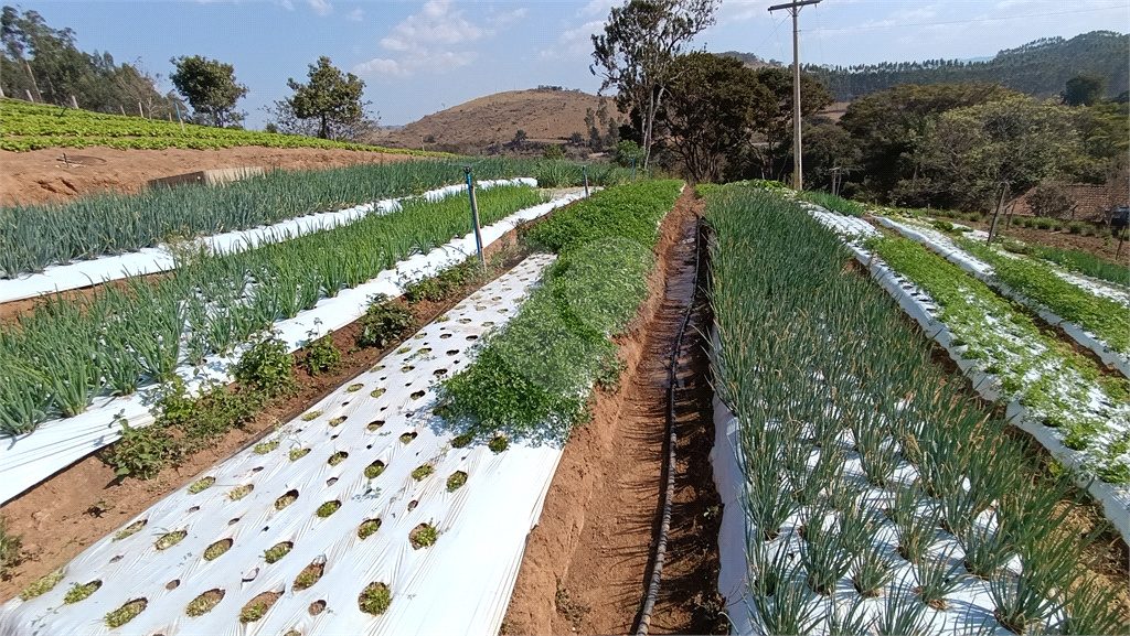 Sítio, 3 quartos, 9 hectares - Foto 1