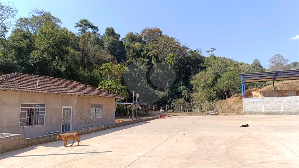 Sítio, 3 quartos, 9 hectares - Foto 3