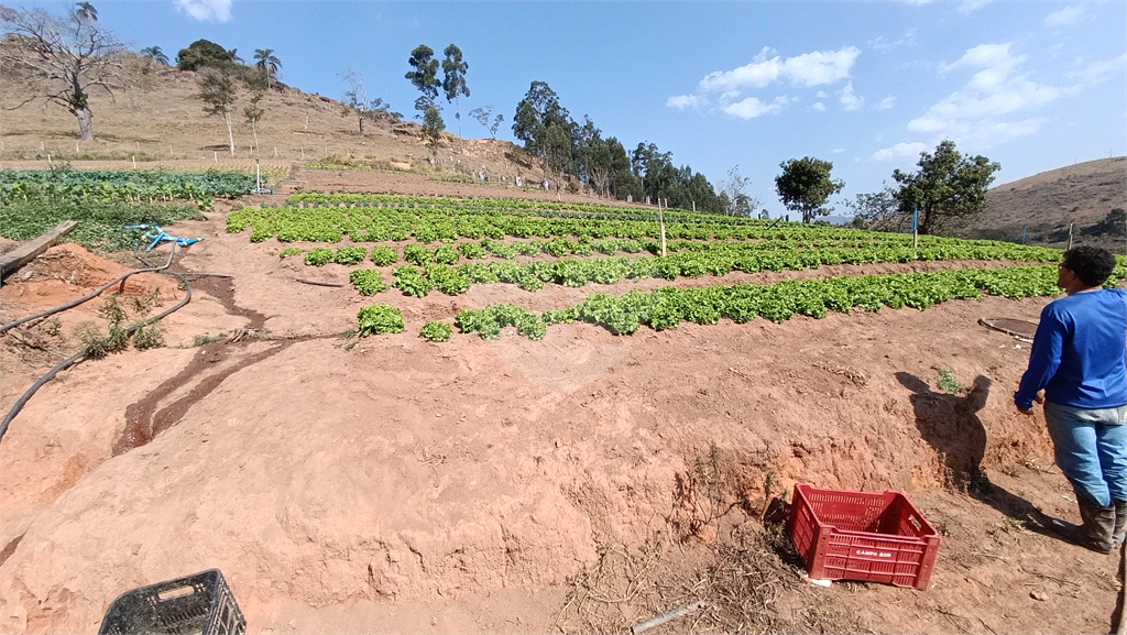 Sítio, 3 quartos, 9 hectares - Foto 5