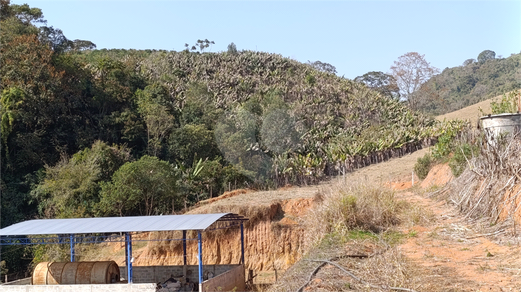 Sítio, 3 quartos, 9 hectares - Foto 7