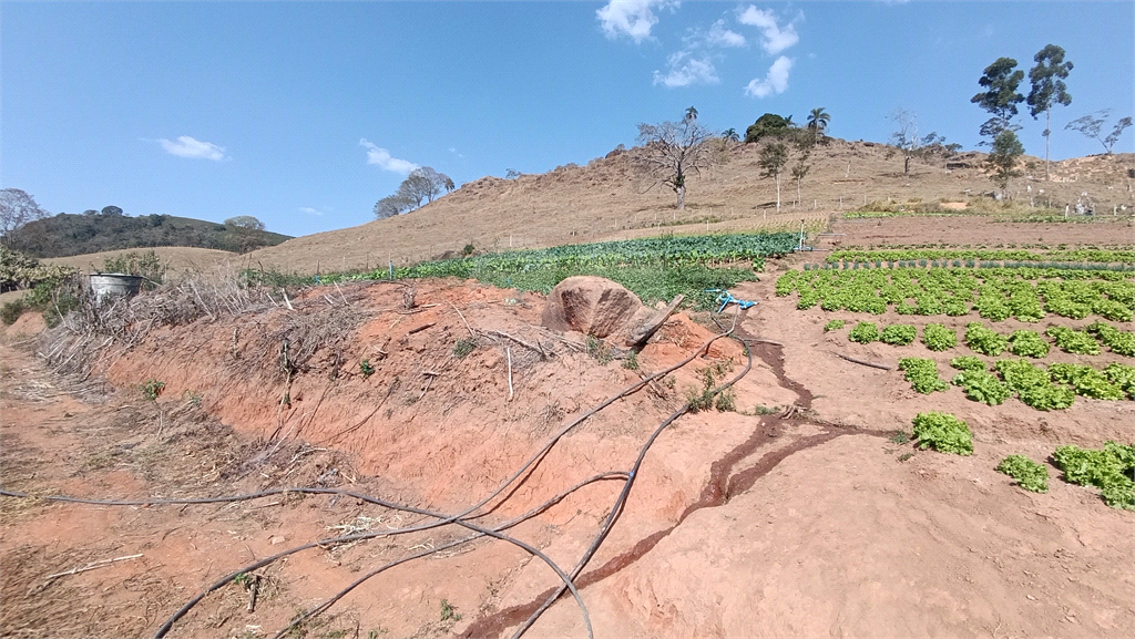 Sítio, 3 quartos, 9 hectares - Foto 8