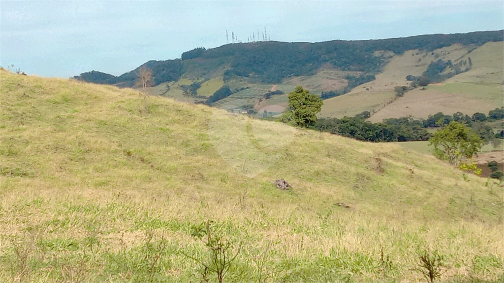 Sítio, 3 quartos, 12 hectares - Foto 4