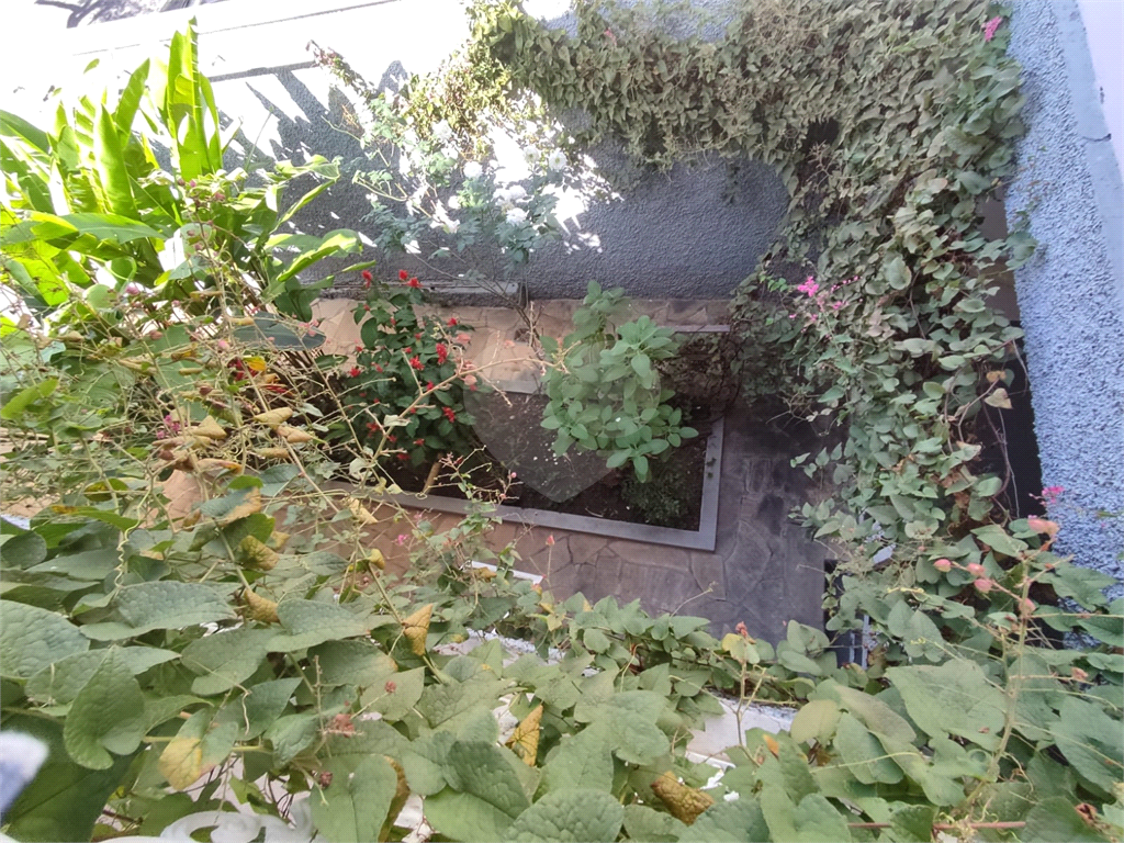 Casa, 5 quartos, 183 m² - Foto 15