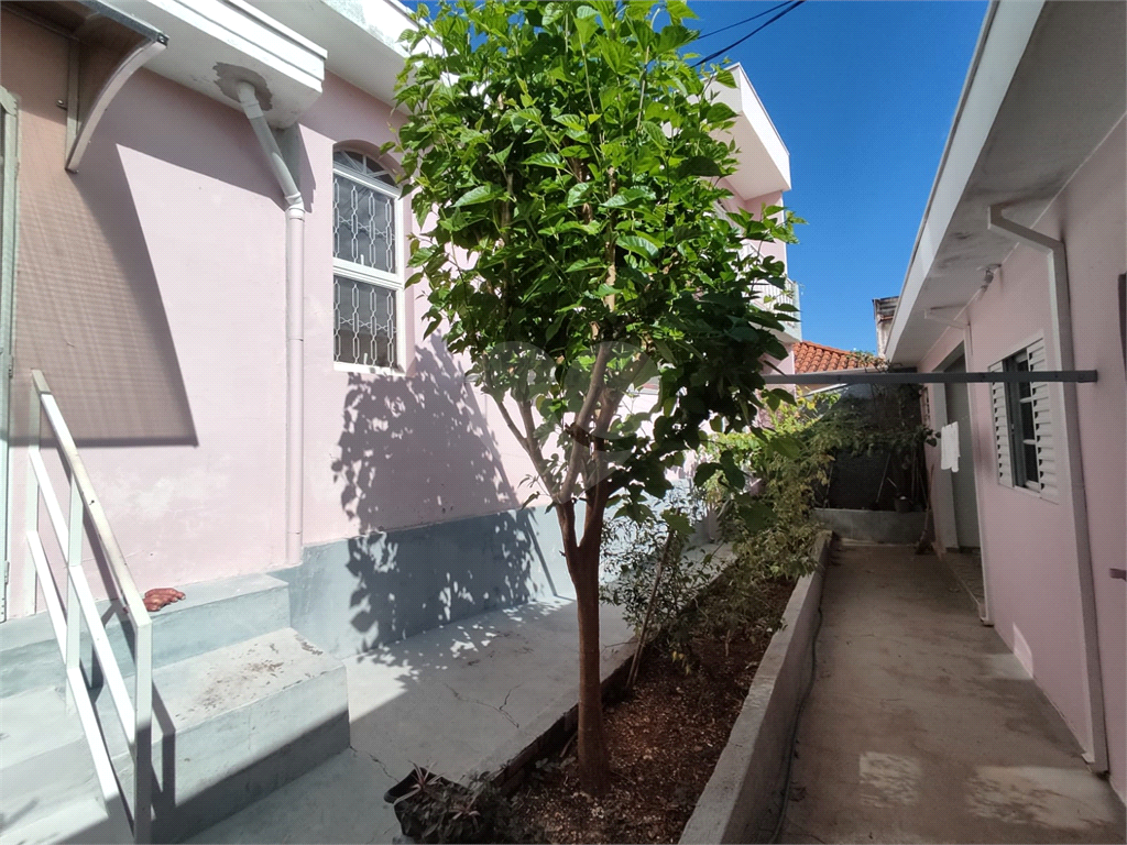 Casa, 5 quartos, 183 m² - Foto 23