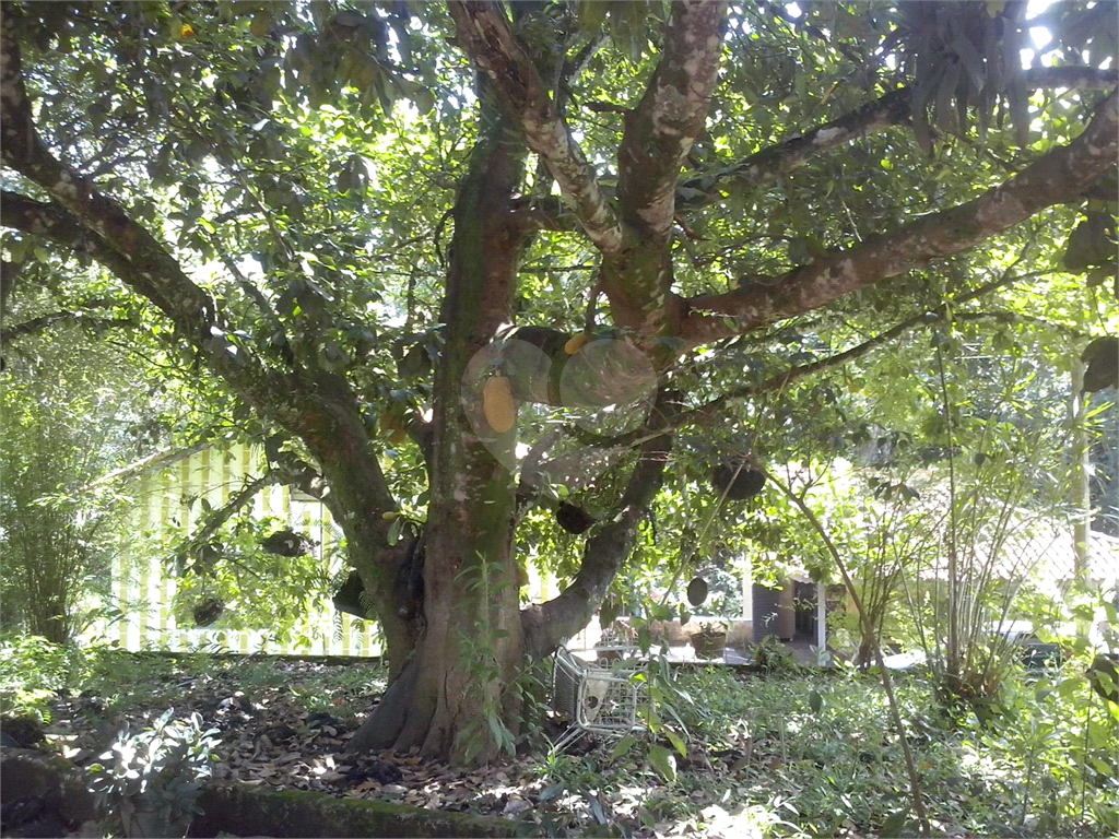 Chácara, 2 quartos, 1 hectares - Foto 16