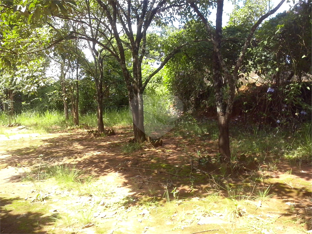 Chácara, 2 quartos, 1 hectares - Foto 18