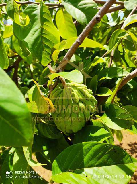 Casa, 2 quartos, 100 m² - Foto 15