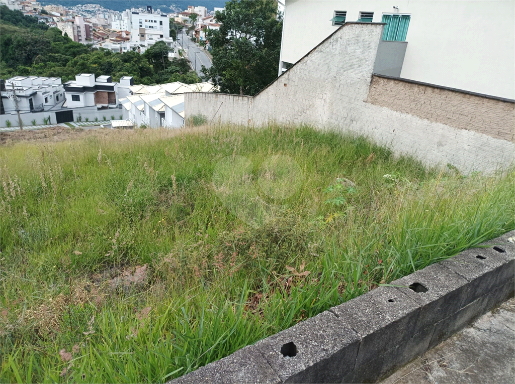 Terreno - Foto 4