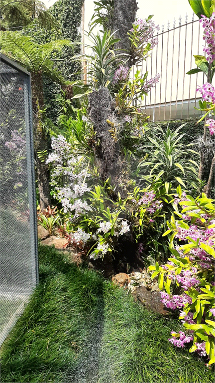 Casa, 3 quartos, 240 m² - Foto 12