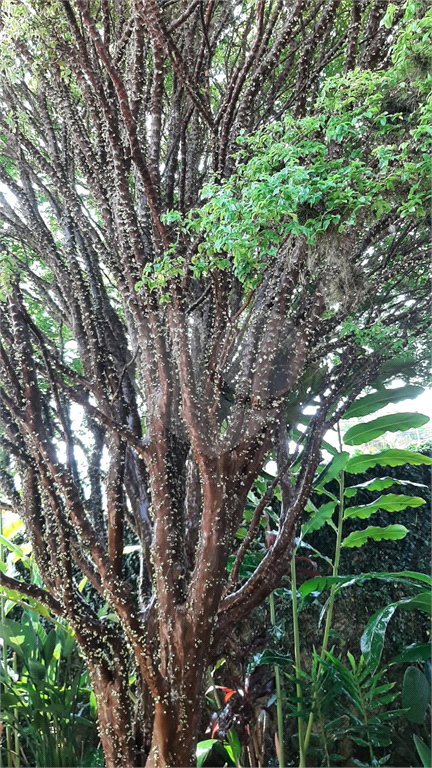 Casa, 3 quartos, 240 m² - Foto 8